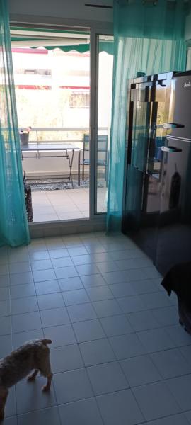 Studio 26 M2 terrasse 6 M2 La Grande Motte